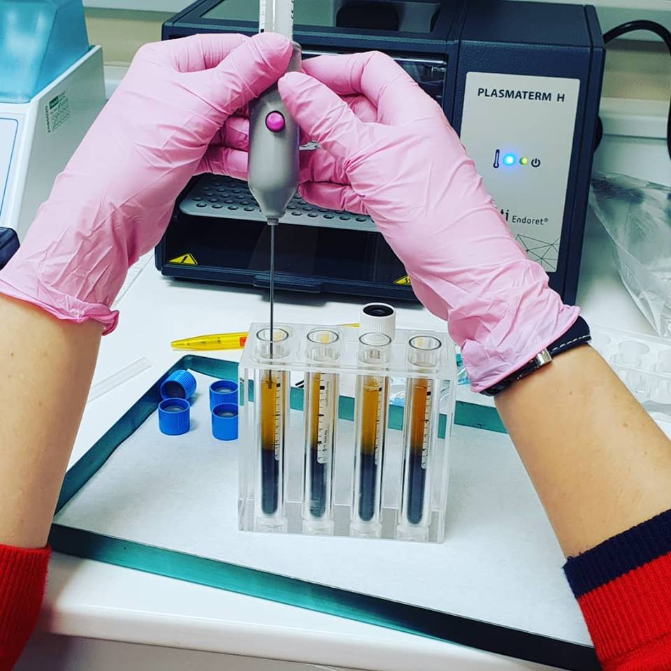 Dentist in Taunton, Lydeard Church House Dental 01823 430004